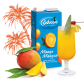 Rubicon Mango  Juice Drink 1L-Ma