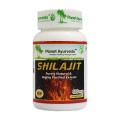 Planet Ayurveda-Shilajit